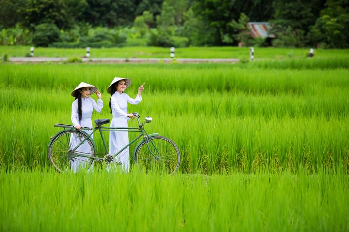 Tưởng thịt bò là